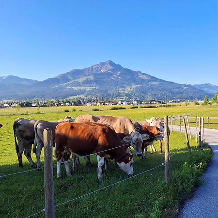 Lampererhof Villa Sankt Johann in Tirol Dış mekan fotoğraf