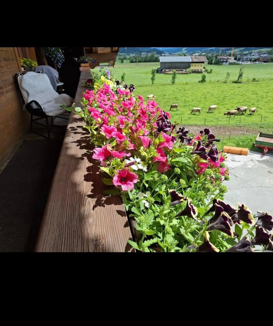 Lampererhof Villa Sankt Johann in Tirol Dış mekan fotoğraf